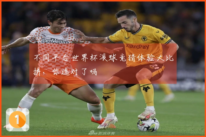 不同平台世界杯滚球竞猜体验大比拼，你选对了吗