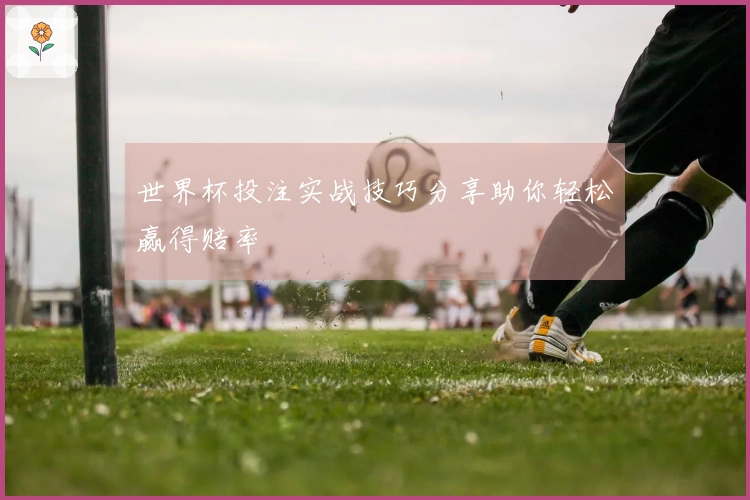 世界杯投注实战技巧分享助你轻松赢得赔率