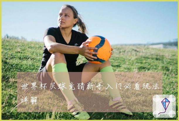 世界杯买球竞猜新手入门必看玩法详解
